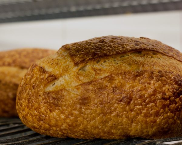 Single Bread Box - Image 6